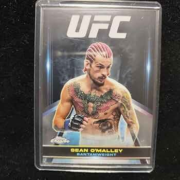 71DjHcvbgbL._AC_UF350,