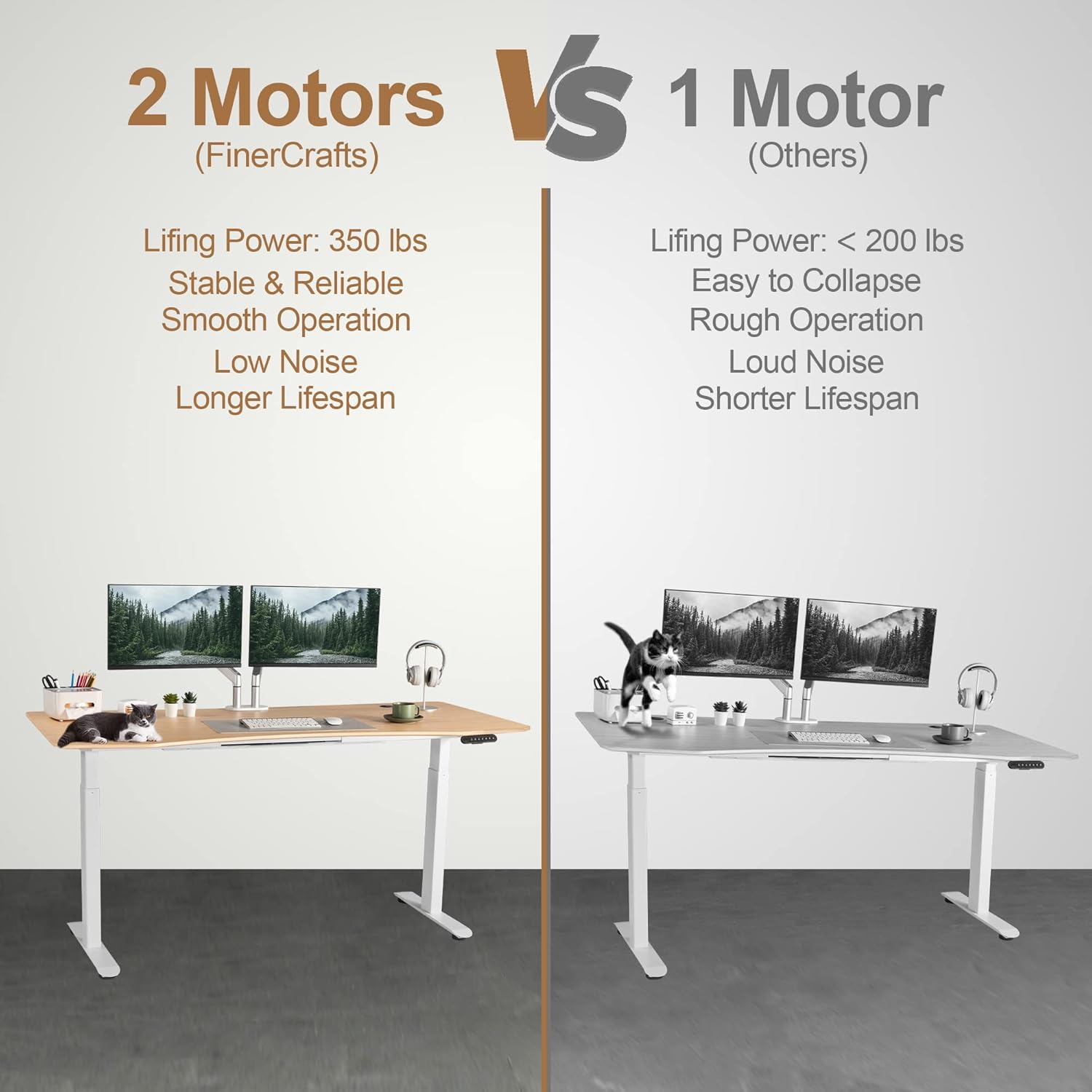 Electric Standing Desk 71 x 32 Inches Dual-Motor Height Adjustable Desk Electric Sit Stand Desk Home Office Desks (71 Natural Maple Ergonomic/White Frame)