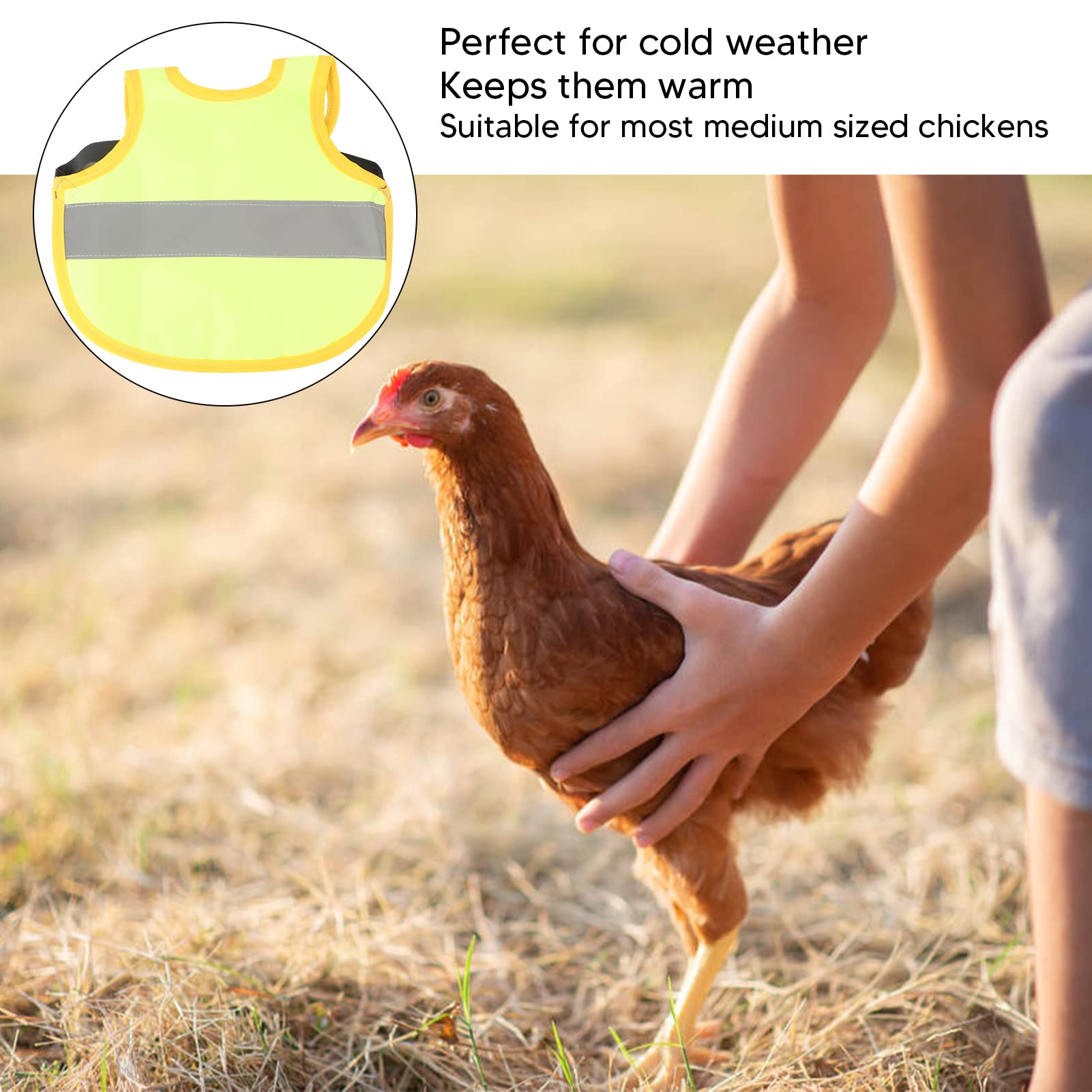 Belle Vous Lot De 6 Gilets Réfléchissants Pour Poules - Selle De Protection Pour