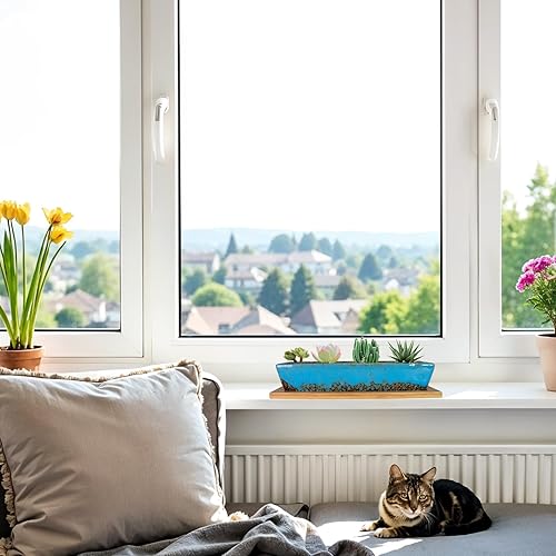 Miniatura 5 de ARTKETTY Macetas para suculentas, macetas de cerámica para suculentas de 9.8 pulgadas con drenaje, maceta pequeña para bonsái con bandeja de bambú,