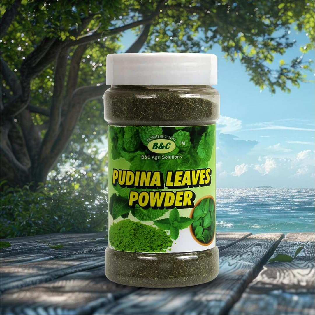 B & C Agri Solutions Pudina Powder | Fresh Mint Leaves Powder | Dry Mentha Pudina Powder - 75gm (Pack of 1) (B0BY8GVY68) Amazon Price History, Amazon Price Tracker