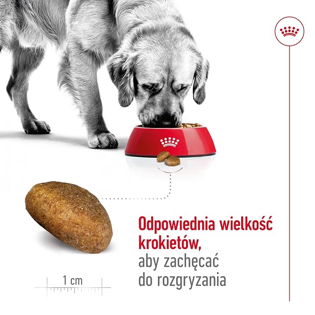 Foto 7 de 8 de Royal Canin Maxi Adulto