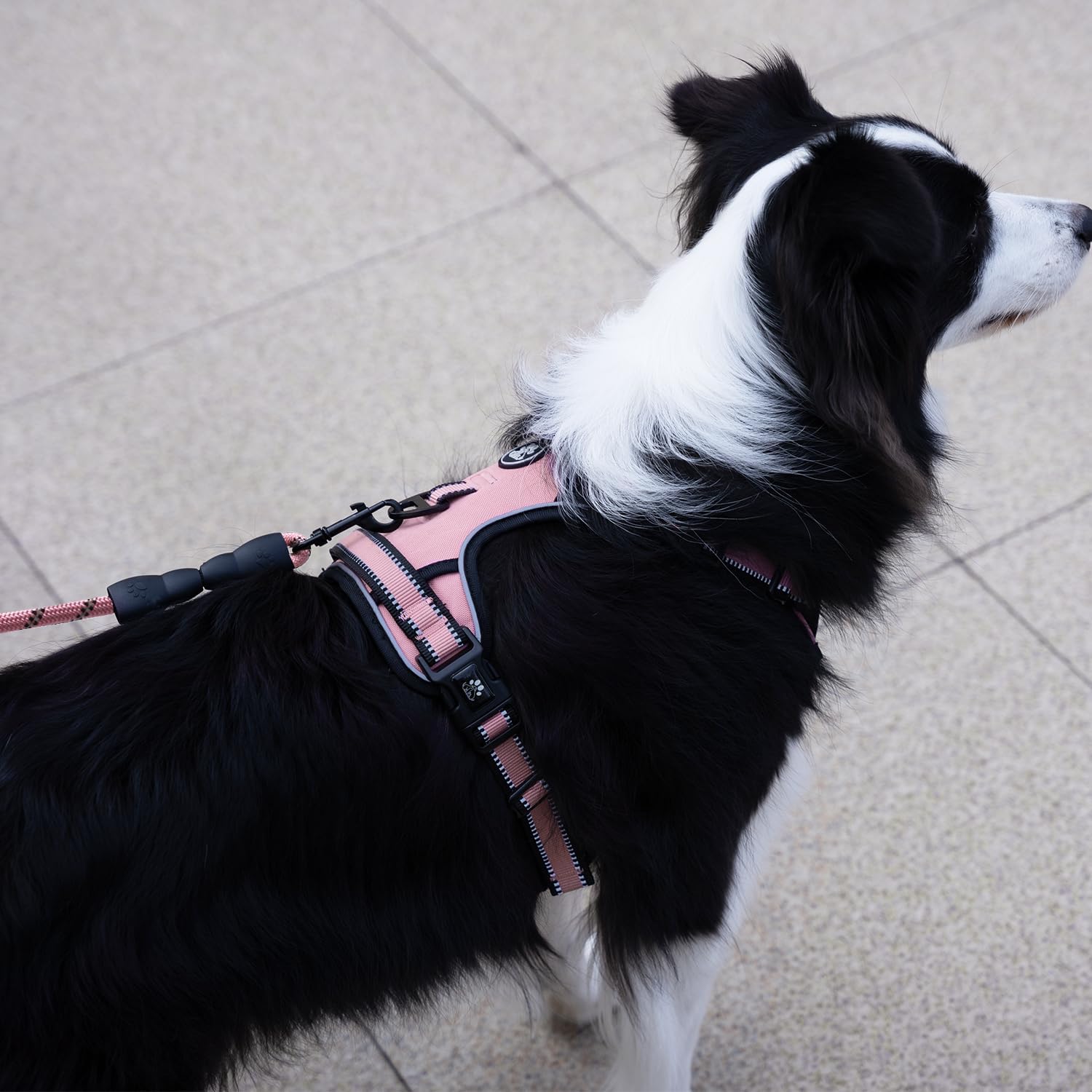 IVY&LANE Heavy Duty Dog Leash with Poop Bag Holder,Strong Rope Dog Leash with Padded Two Handle,5FT Reflective Threads Dogs Leash for Small Medium Large Dogs Walking,Pink