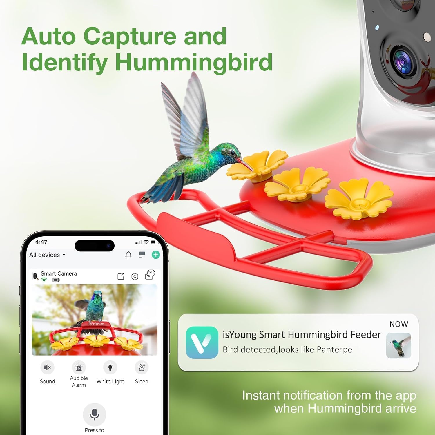 isYoung Hummingbird Feeder with Camera, 2.5K QHD, AI Identify 11000+ Bird, Featuring AI Auto-Capture and Motion Detection, IP65 Waterproof, Birds Watching Gift