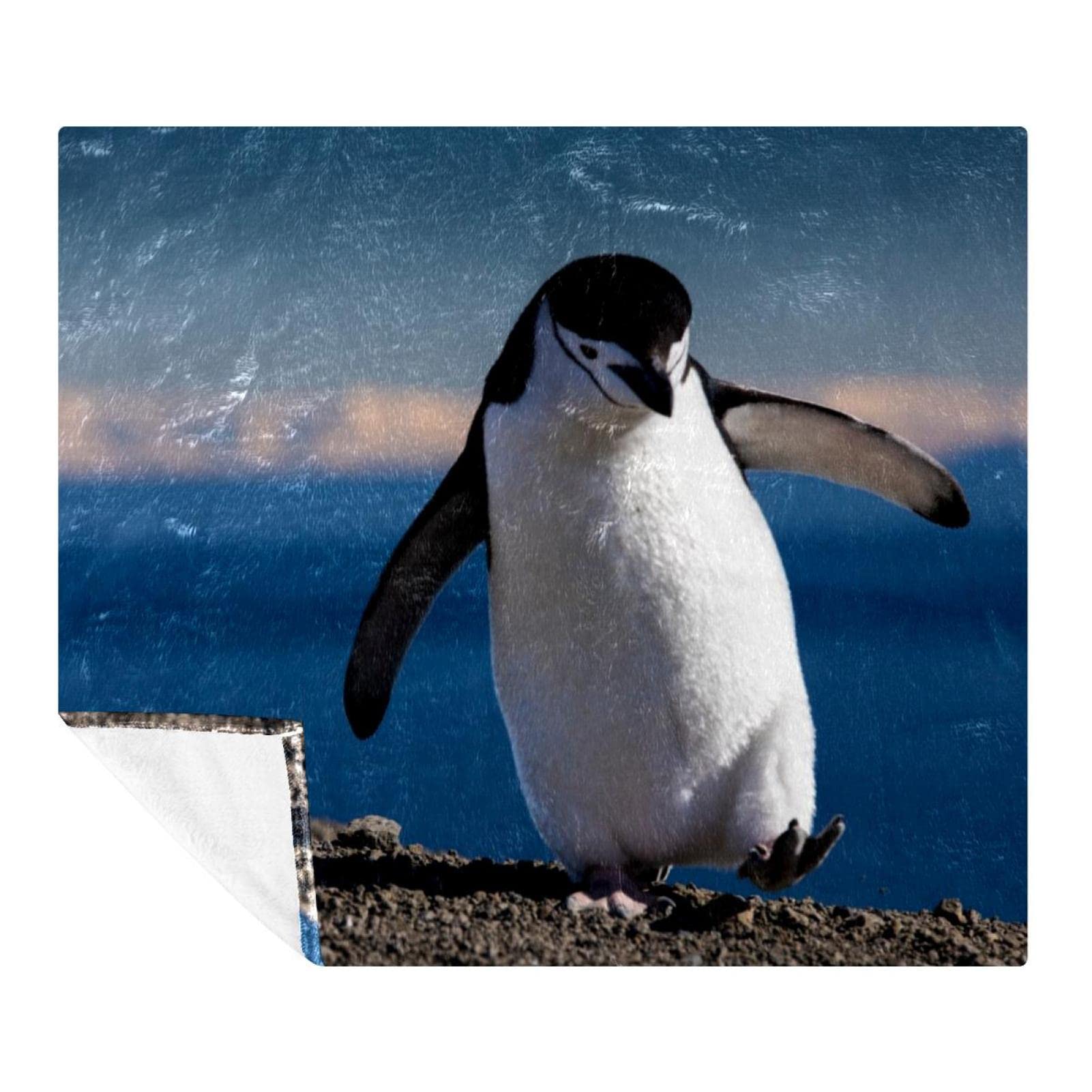 Couverture polaire microfibre douce couverture lit et canapé motif pingouin