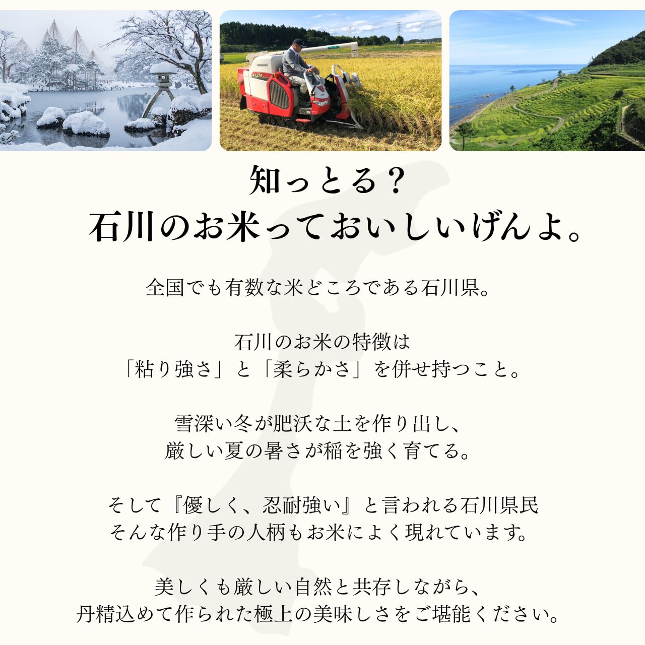 Amazon.co.jp: 饗のこめ【精米】 石川県産ひゃくまん穀 10kg 令和7年産