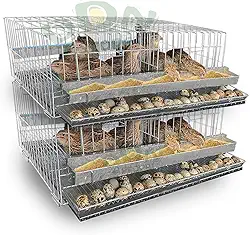 Kit 2 Gaiola Codorna Poedeira Viveiro Japonesa Bateria Até 20 Aves