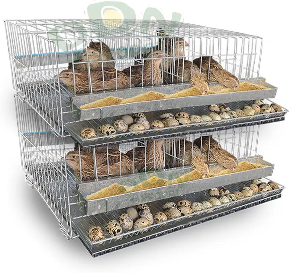Kit 2 Gaiola Codorna Poedeira Viveiro Japonesa Bateria Até 20 Aves