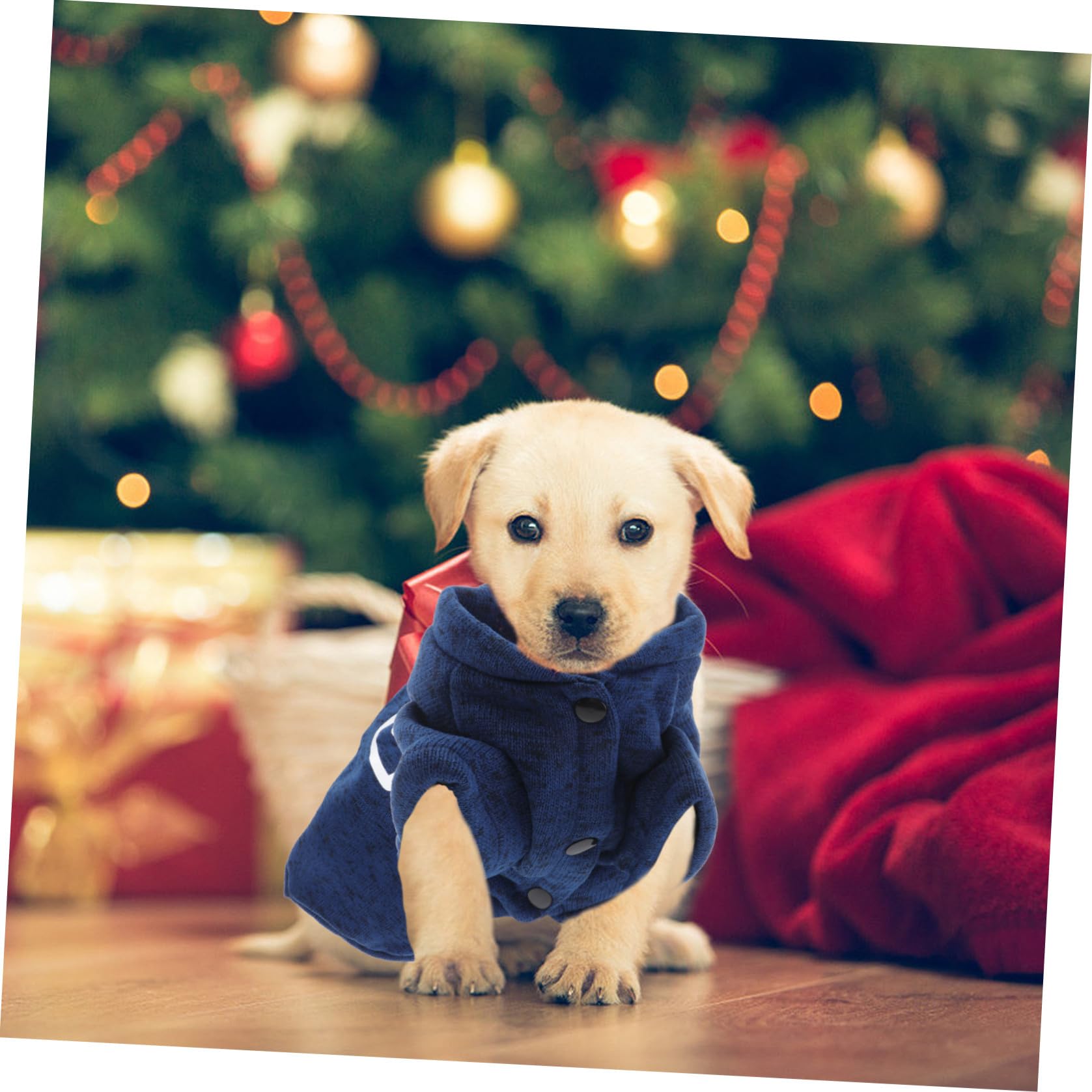 BESPORTBLE 3piezas Suéter para y Gatos XXL Ropa De Invierno Azul para y Cómodo para Paseos y Actividades