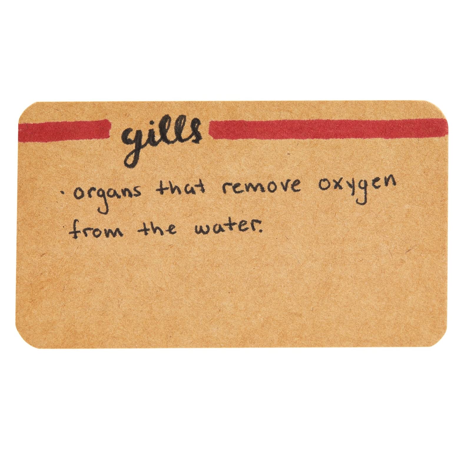 Juvale 250-Pack Blank Index Cards, 2x3.5 in Flashcards for Studying, Small Kraft Paper Cardstock for Making Business Cards, Playing Cards, Gift Tags, Crafts, Bulk Pack, Brown - Image 6