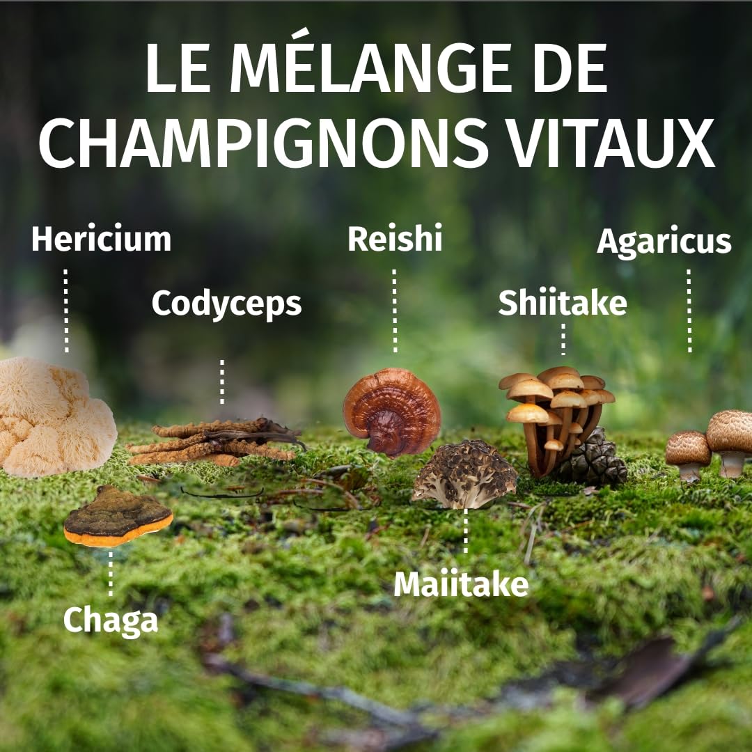 Green Naturals Complexe 7 Champignons 1 050 mg – 180 gélules | Reishi, Cordyceps, Shiitake, Maitake, Hericium, Agaricus, Chaga · Vegan · 3 mois