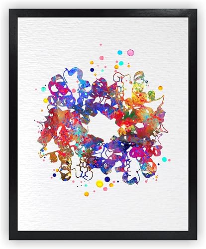 Miniatura 1 de Dignovel Studios 8 x 10 sin marco de hemoglobina de células rojas de la sangre proteína de arte médico ciencia hematología laboratorio clínica