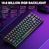AULA WIN68HE Rapid Trigger Gaming Keyboard with Cable Hall Effect Magnetic Switches 0.02 mm RT Accuracy Adjustable Actuation 8000Hz RGB 60% Mechanical Keyboard