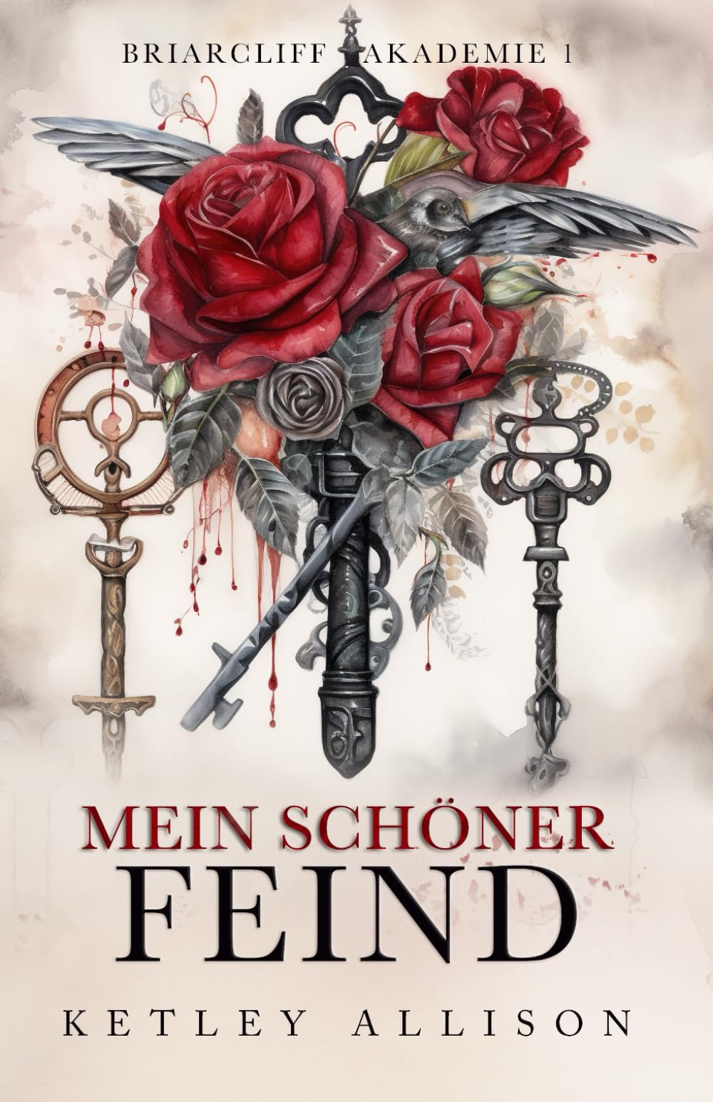 Mein schöner Feind (Briarcliff Akademie)