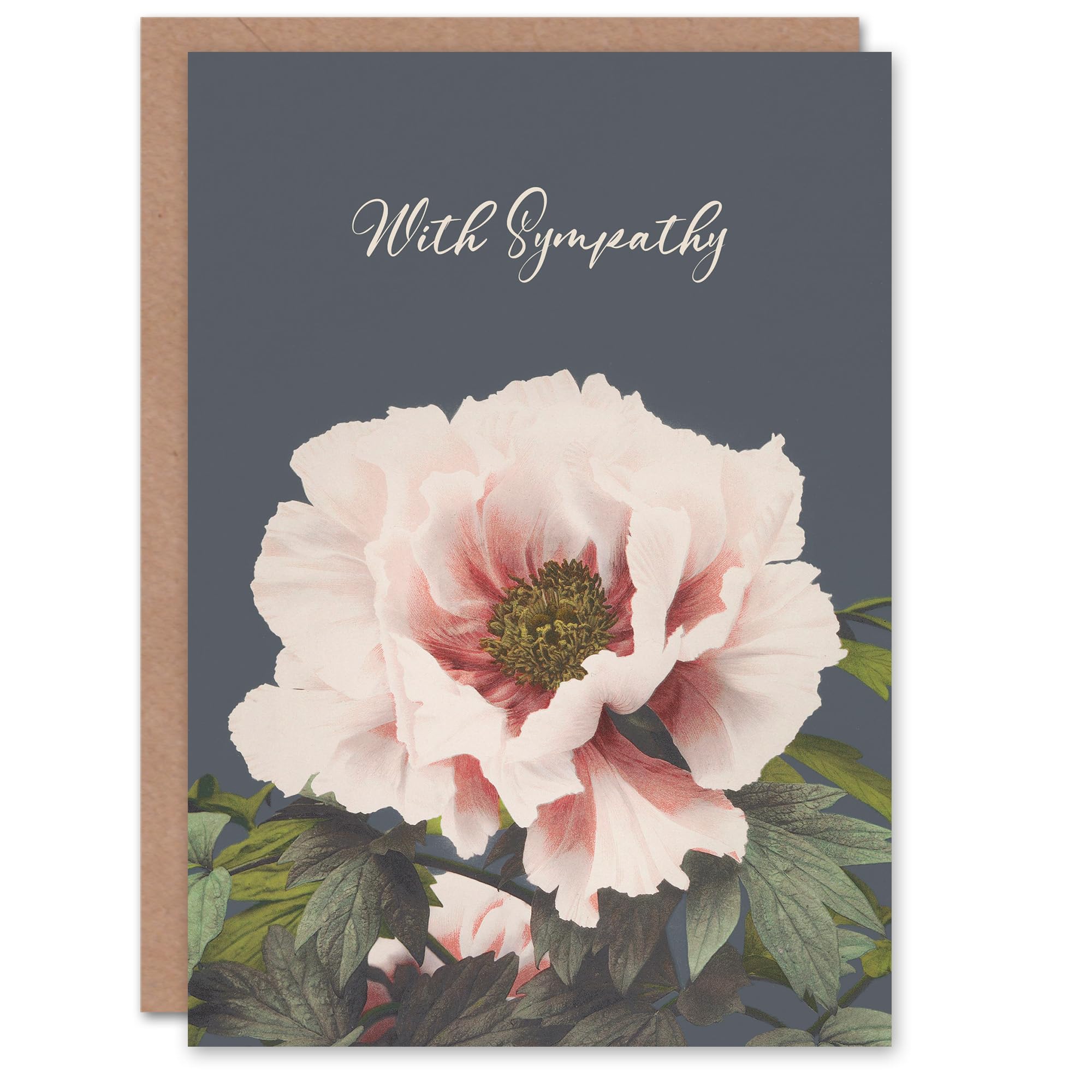 Artery8 Ogawa Kazumasa Sympathy Card Peony Flower Vintage Japanese