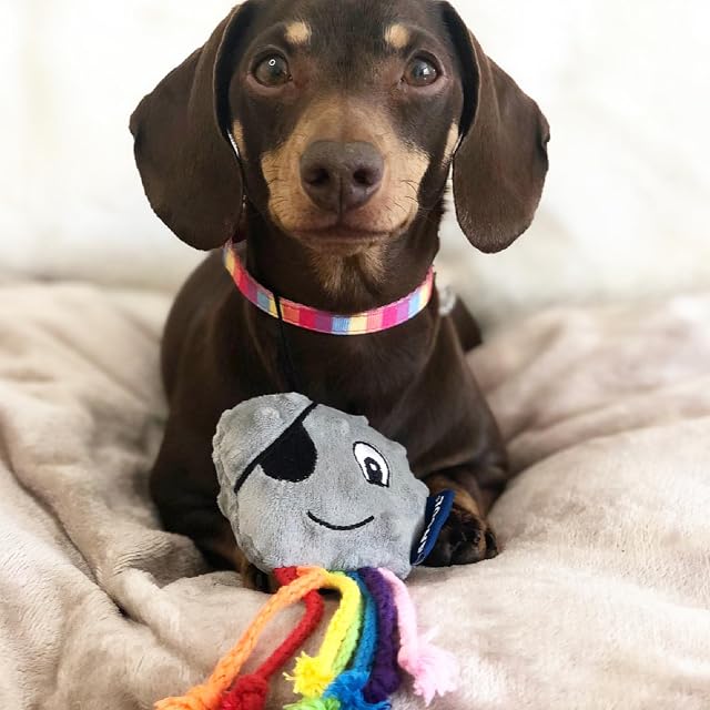 Foto 5 de 5 de Ancol Pequeño Juguete para Cachorros, Pulpo con Patas de Cuerda