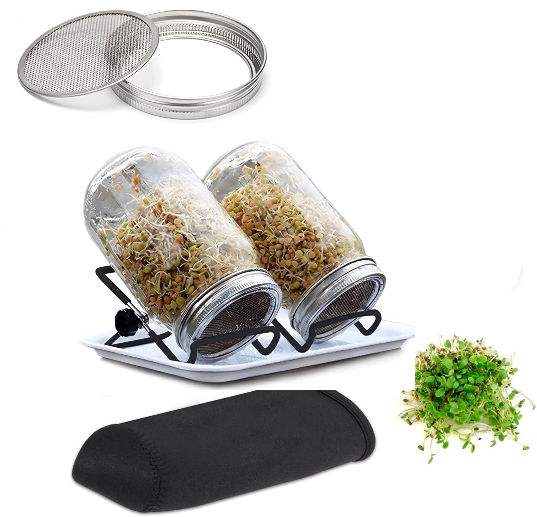 TAME Seed Sprouting Jar Kit with 2 Wide Mouth Mason Jars Bean Sprouts Growing Kit Microgreens Growing Jar with Mesh Screen Lids Sprouter Sprouts Maker for Growing Broccoli, Alfalfa, Mung Bean