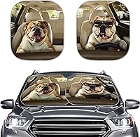 Vista 36 de Howilath Sombra de ojos de belleza, 2 unidades, parasol universal para parabrisas, accesorios para vehículos, cubierta anti-UV