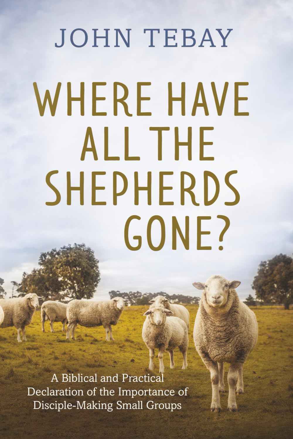 Where Have All the Shepherds Gone?: A Biblical and Practical Declaration of the Importance of Disciple-Making Small Groups