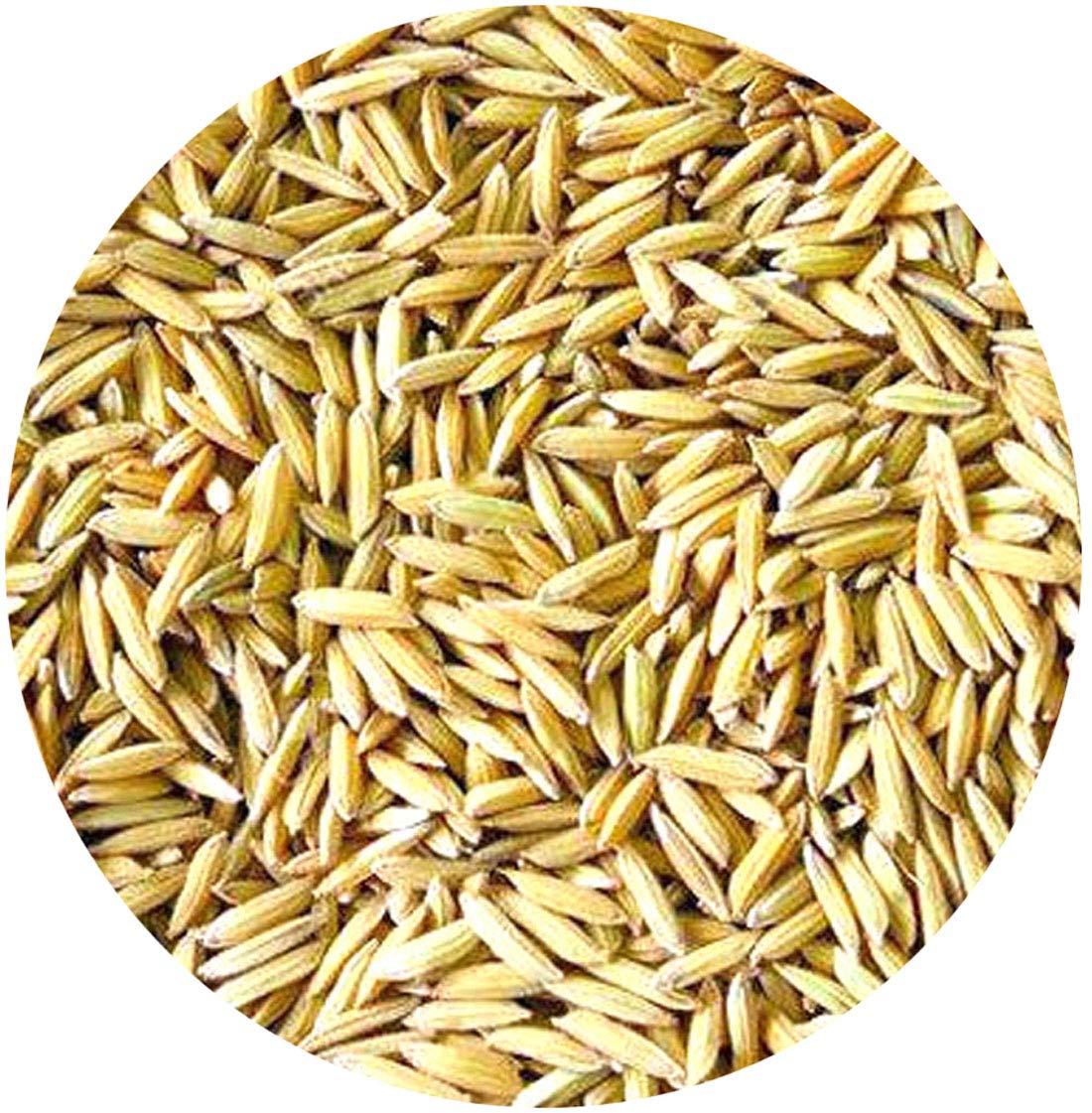 Sky Bird Foods Paddy Rice Seeds (1000 Gm) 1 KG Natural Fresh food/dry (B08425WDYD) Amazon Price History, Amazon Price Tracker