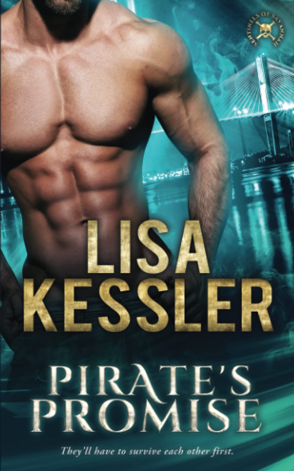 Cover of Pirate's Promise