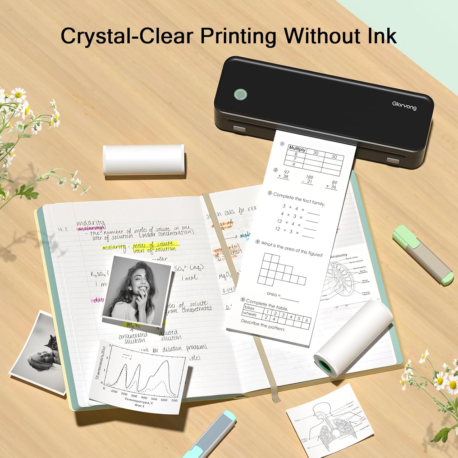 Gloryang 3-Inch Continuous White Thermal Labels, 8-Roll Pack – Compatible with Gloryang Printers, Permanent Adhesive, Perforated​ (Pack of 2)