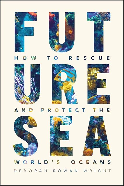 Portada de Future Sea