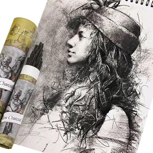 HAUSTGO 100PCS/PACK Willow Charcoal Sticks - Natural Willow Charcoal for Artists, Beginners, or Students of All Skill Levels - Perfect for Drawing and Sketching