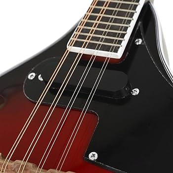 エレキフラットマンドリン レッド・ブラックグラデーション ケース付き