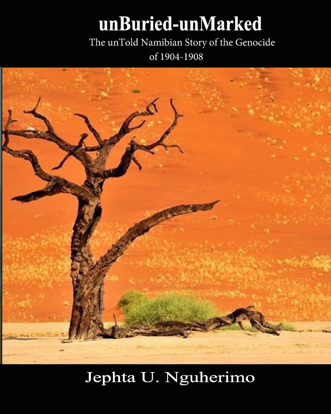 unBuried-unMarked:The unTold Namibian Story of the Genocide of 1904-1908: Pieces and Pains of the Struggle for Justice