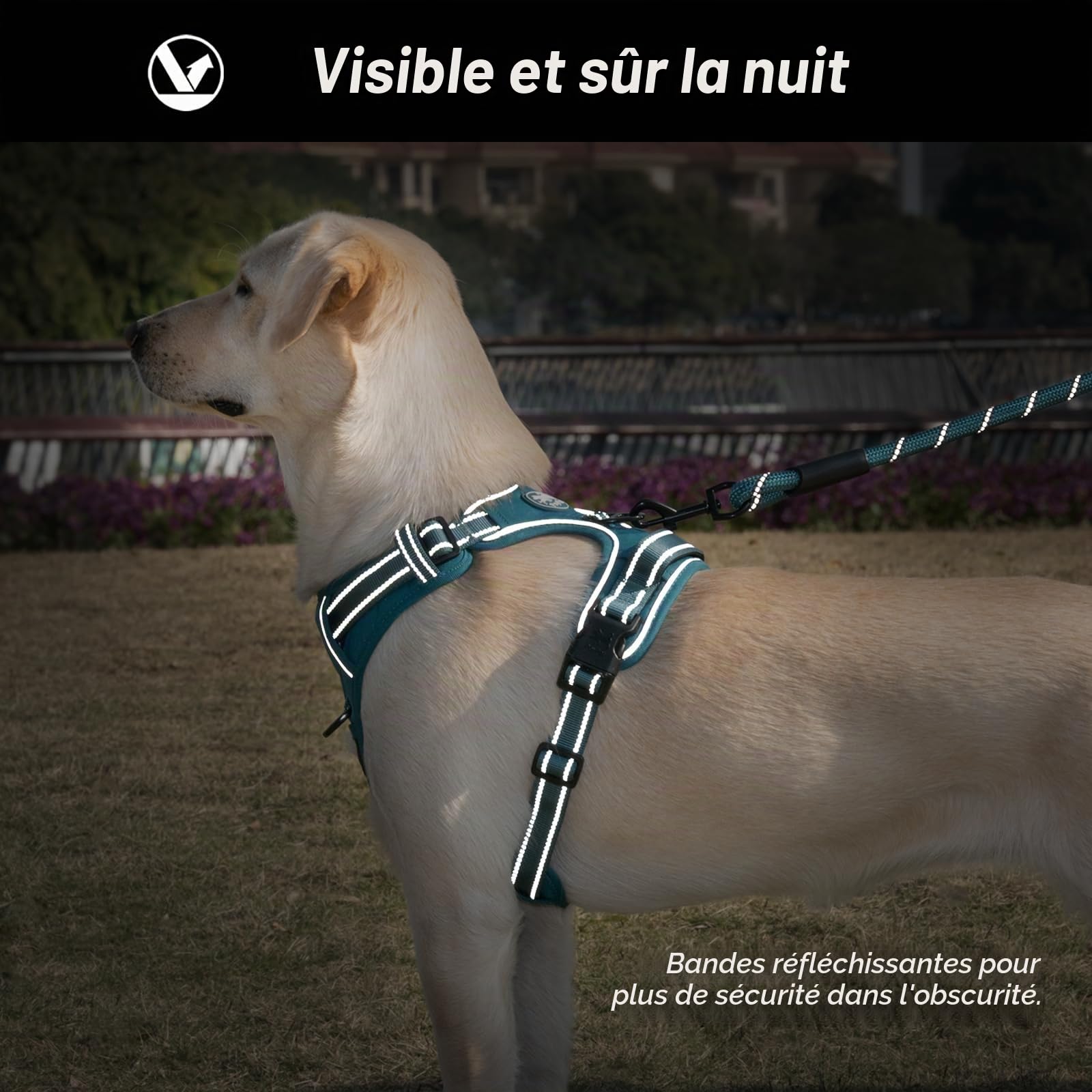 Poypet Harnais pour Chien sans Pull - RéFléChissant - Gilet pour Chien - RéGlable Et Doux - avec PoignéE Easy Control - pour Petits Et Grands Chiens (Bleu Sarcelle,Size, S)