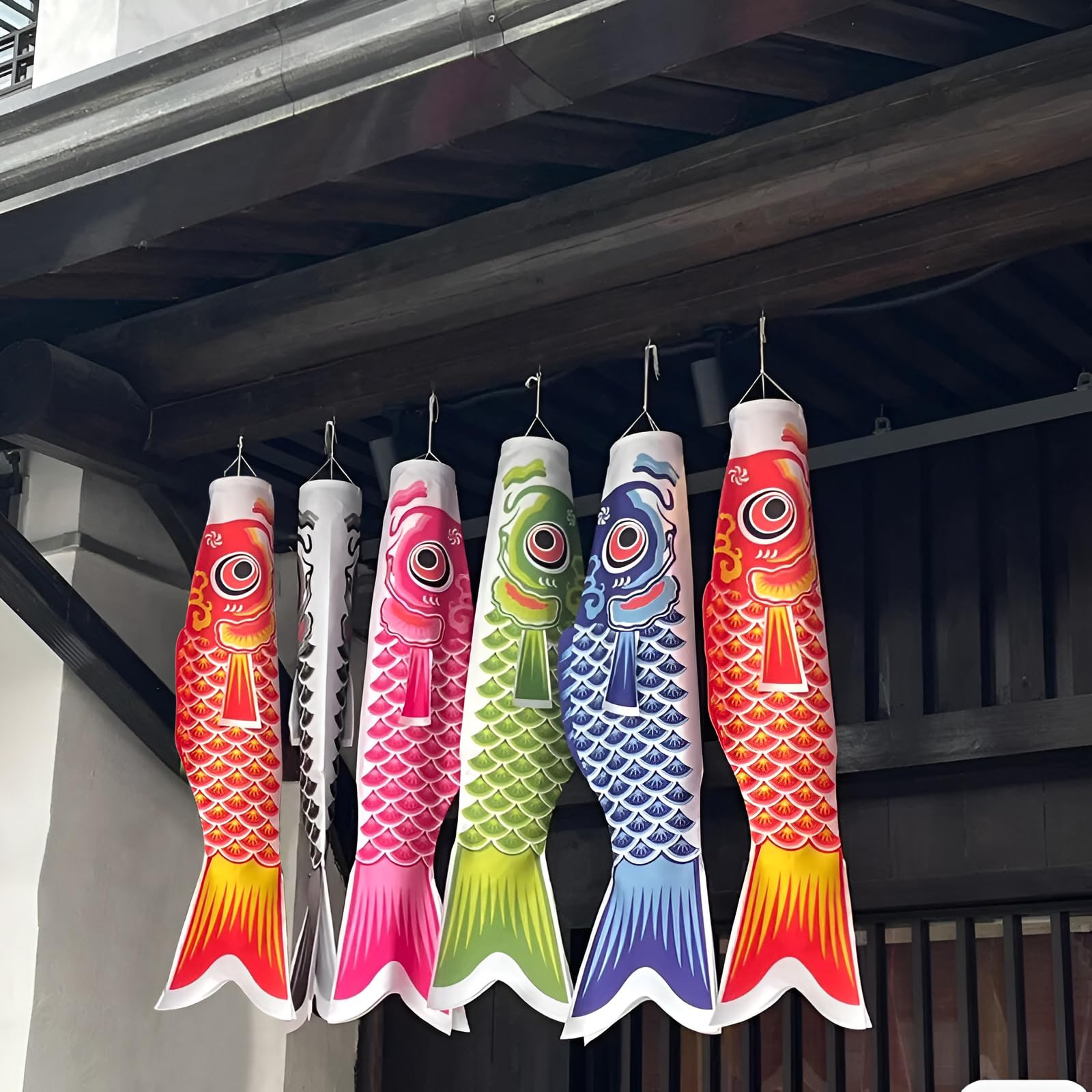 Amazon | 鯉のぼり こいのぼり 鯉5色 70cm 五月 端午の節句 庭