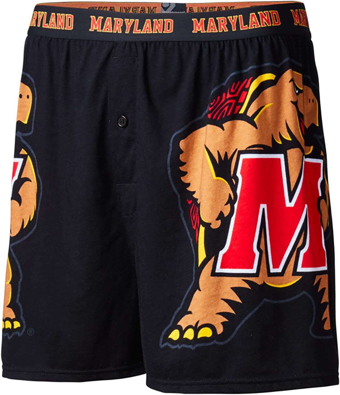 FANDEMICS NCAA Boy's Large Logo Boxer Short