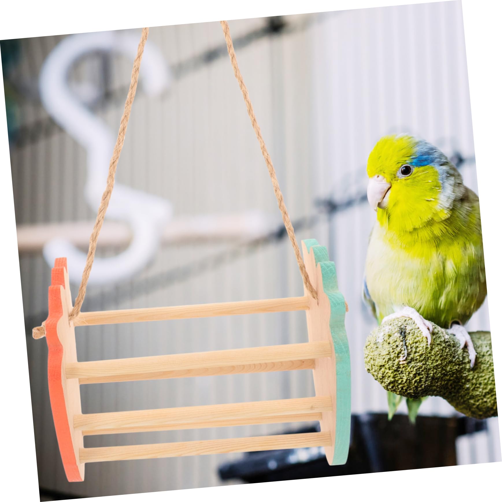 BESPORTBLE 4pezzi Giochi Per Pappagalli Con Altalena Legno Posatoio Appeso Per Uccelli Decorazione Per Gabbiette Giocattolo Interattivo Per Parrocchetti e Pappagalli Atmosfera Calda e