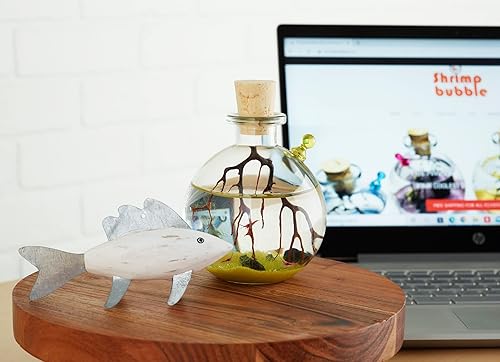 Miniatura 8 de Shrimp Bubble Self-Sustaining Ecosystem