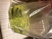 Review Image by PazK PazK