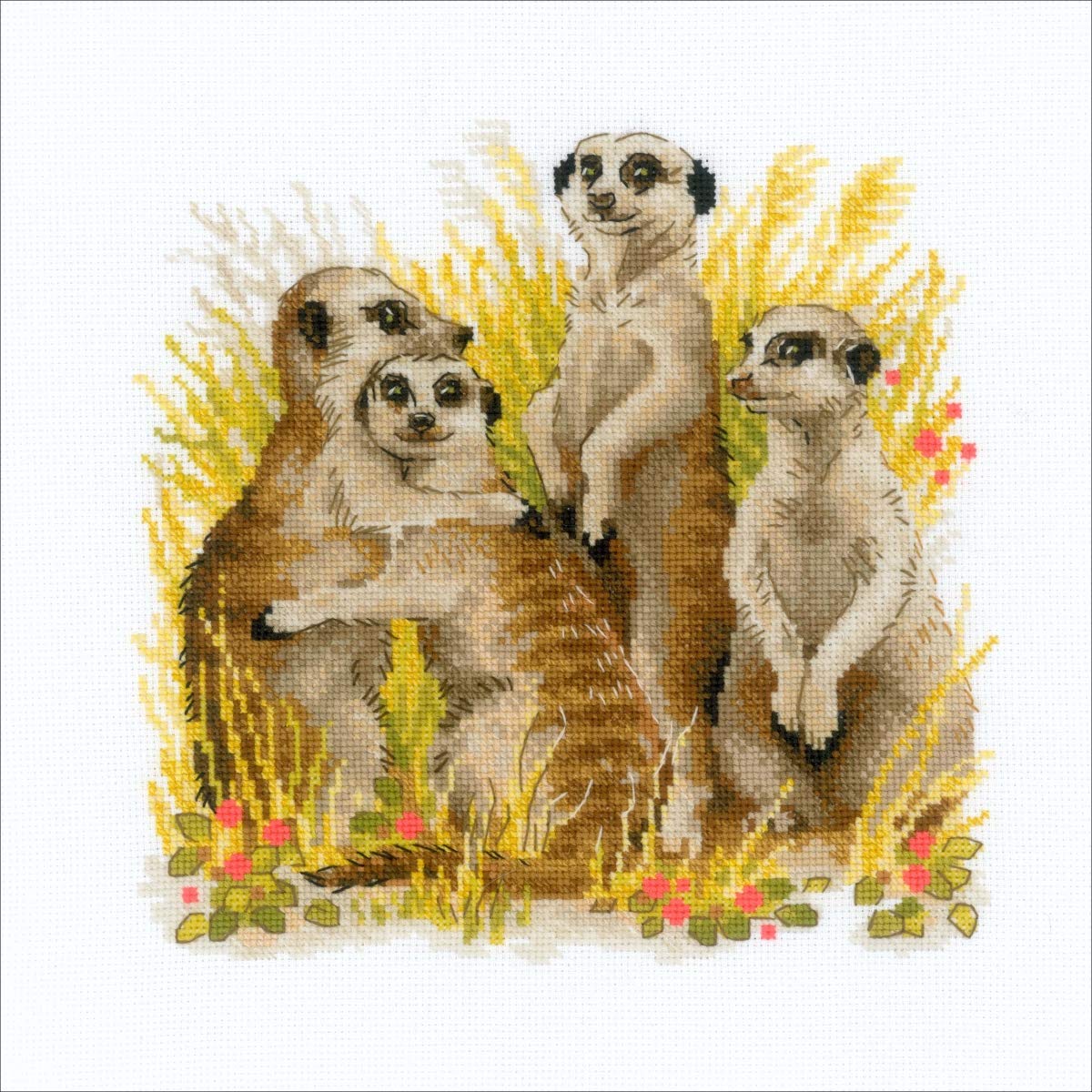 Riolis Counted Cross Stitch Kit 9.75"X9.75"-Meerkats (14 Count)