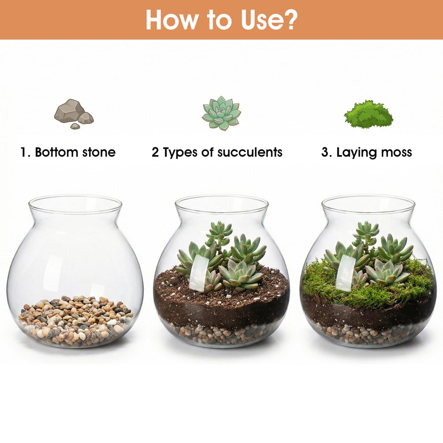 Pot de Terrarium, Terrarium de Plantes en Verre 1800 ML, récipient fermé avec Couvercle en liège pour Plantes succulentes, récipient Vase Bol à Poisson