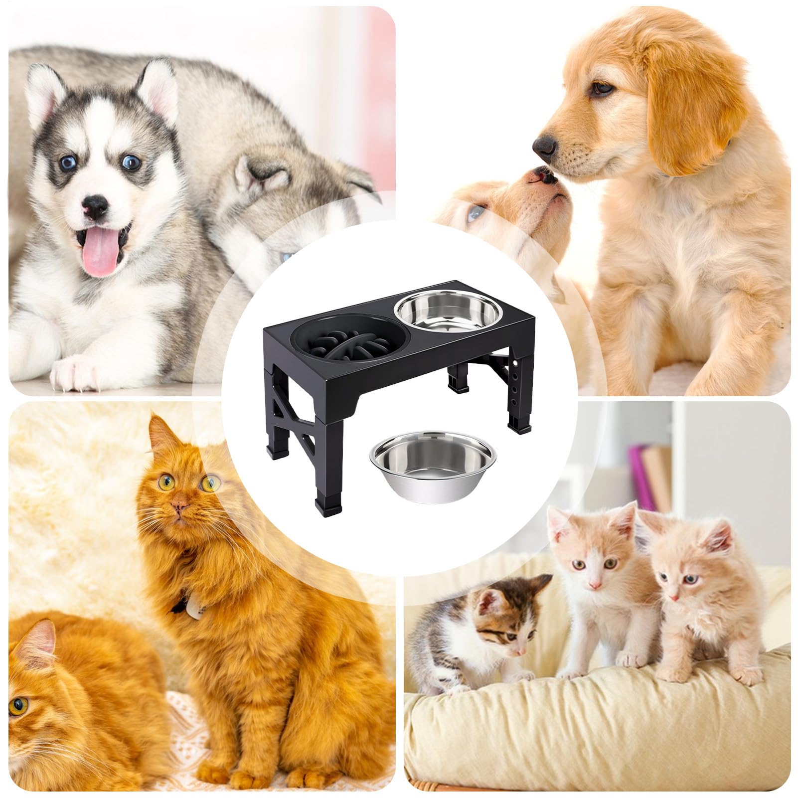 Bols d'eau pour Chien Support Réglable À 5 Niveaux | 2 Bols Surélevés Mange-Lent Pour Nourriture Pour Chiot Chat Alimentation et Boisson Maison