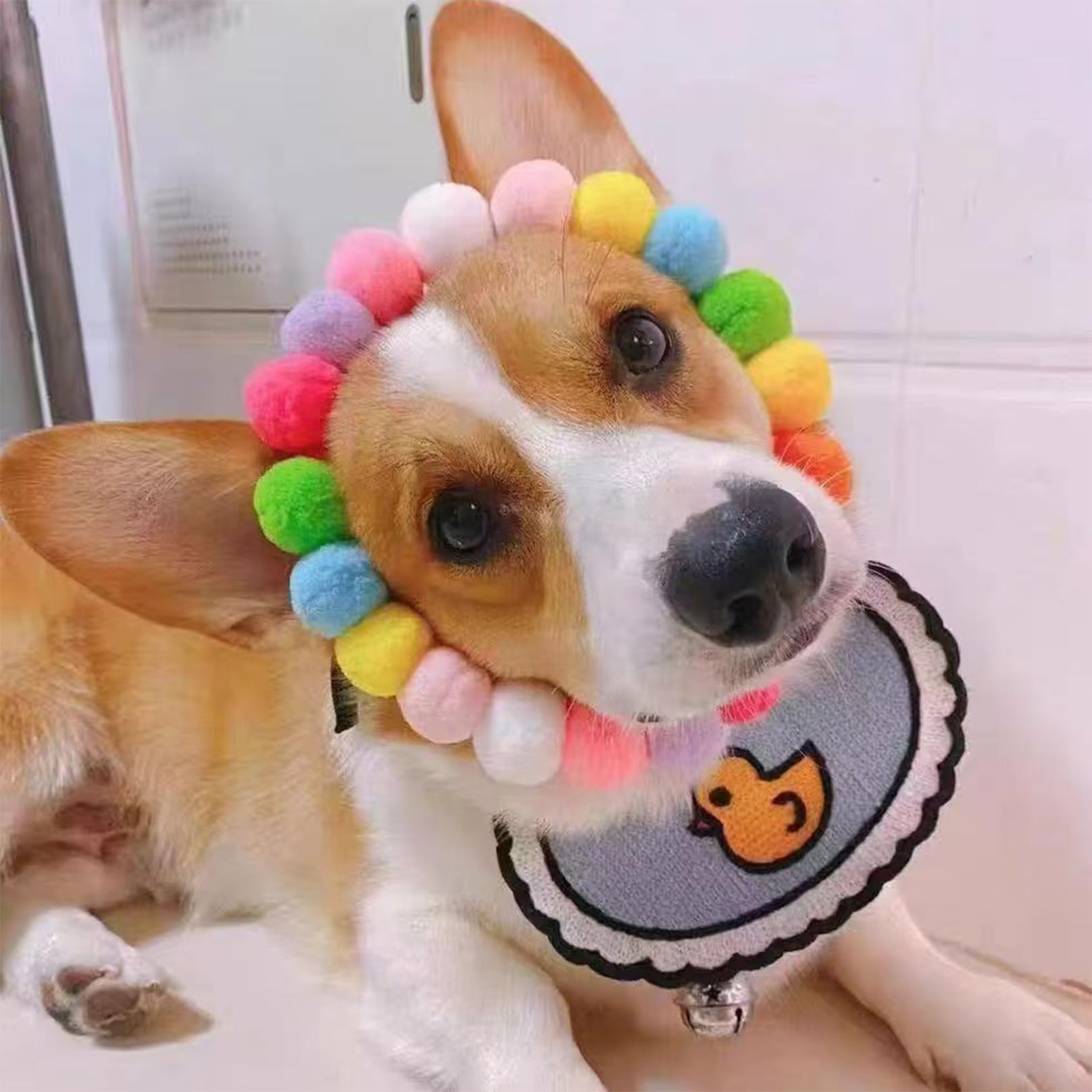 Hundehalsband, mit Perlen, verstellbar, elastisch, Katze mit weichem Bommel, für kleine Hunde, Welpen, modische Haustier-Halskette, 50 Stück