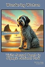 Wandering Watson Visits Second Beach in Olympic National Park