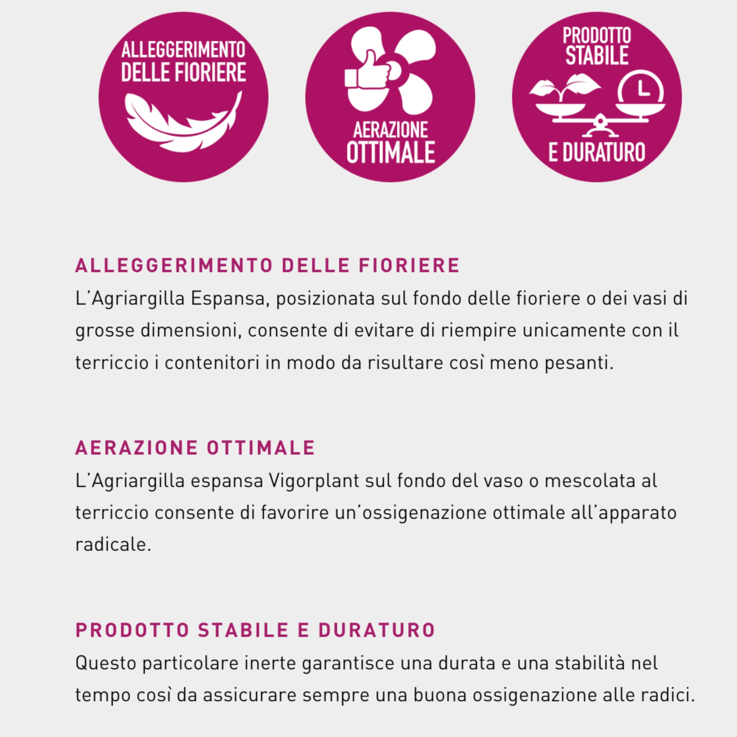 Argilla Espansa Per Piante In Vaso Da 8–20 mm – Argilla Espansa Per Drenaggio Vasi e Fioriere, Alleggerimento Terriccio, Pacciamatura Decorativa, Ideale per Idrocoltura e Piante, 10 Litri - 3