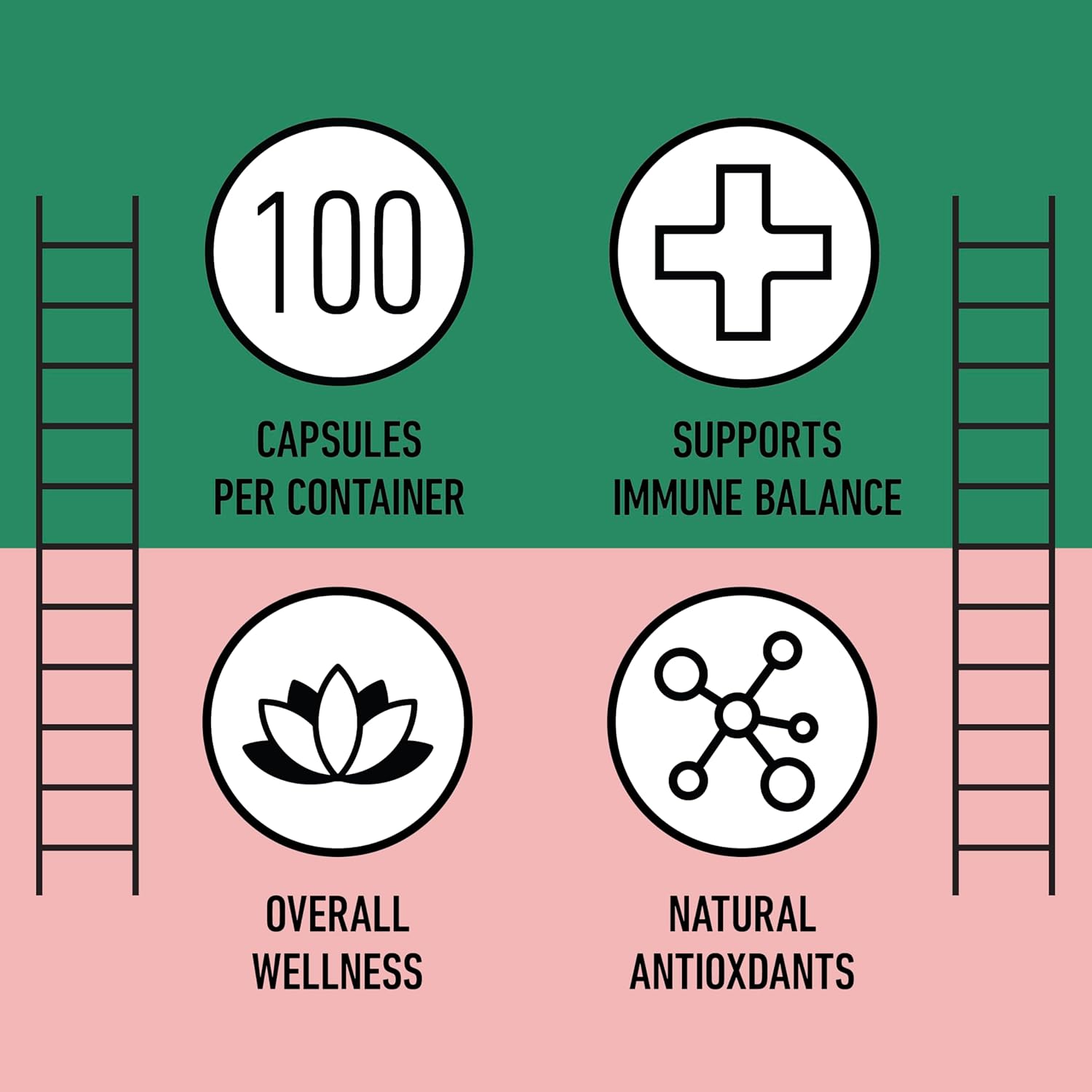 Complete Natural Products Organic Hibiscus Capsules, 550mg, 100ct, Plant-Based, Organic Flower Powder for Antioxidant & Digestive Support, Vegan & Non-GMO - Image 8