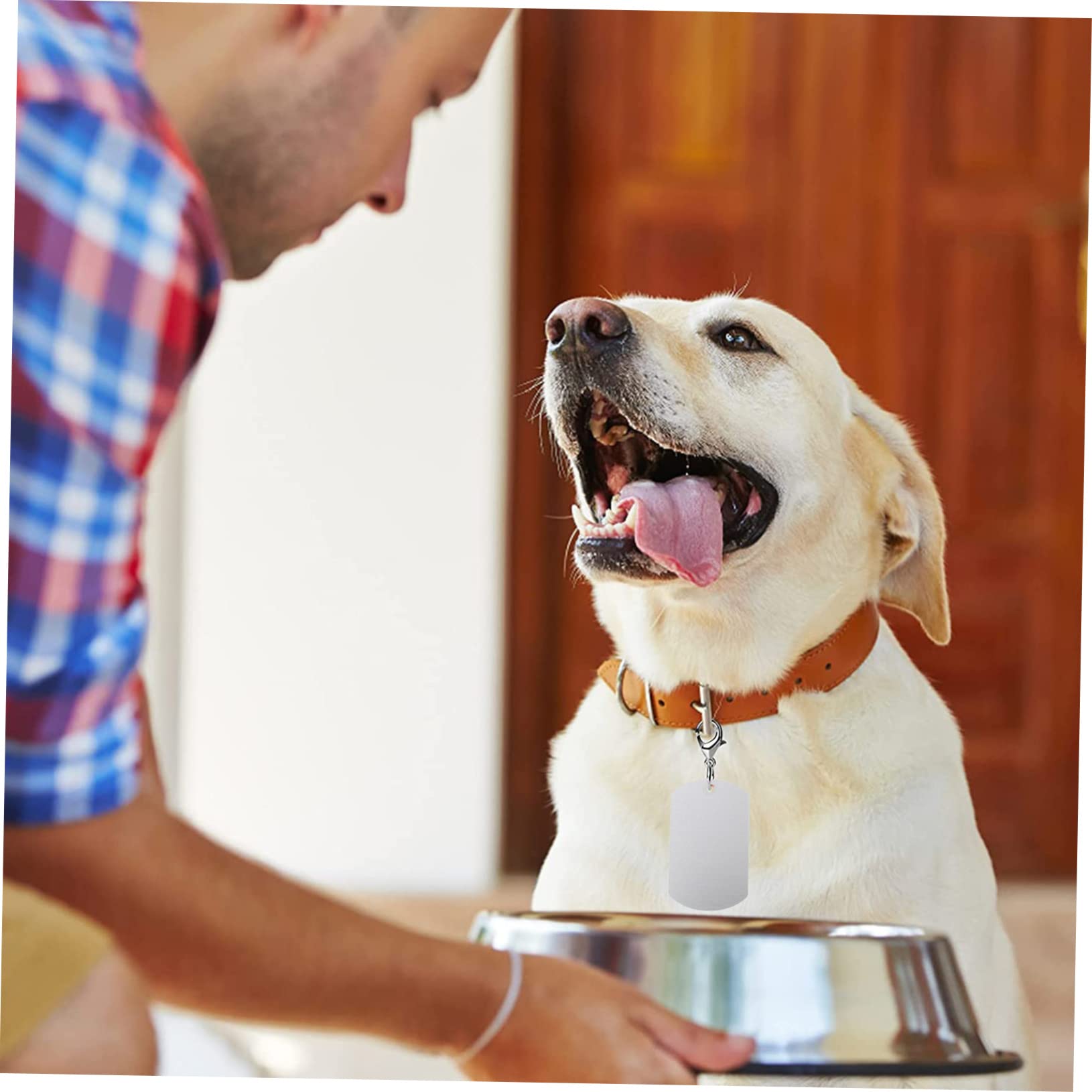 Kisangel 4 Set Medagliette Per Animali Domestici Targhette Id Per Conigli E Pet Leggere E Resistente Facili Da Indossare Personalizzabili Per Animali Smarriti 20 Pezzi*4