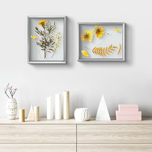 Vista 163 de Frametory, Marco de fotos flotante de 16 x 20 pulgadas, marco de fotos de metal, cristal real, para montaje en pared o mesa (negro, paquete de 2)