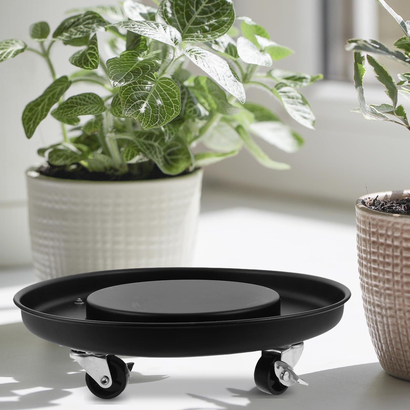 Toddmomy Chariot à Plantes à roulettes : Chariot à Plantes Roulant en Acier Inoxydable - pour Pots de Fleurs de 33 cm avec Roulette Frein pour l'intérieur et l'extérieur