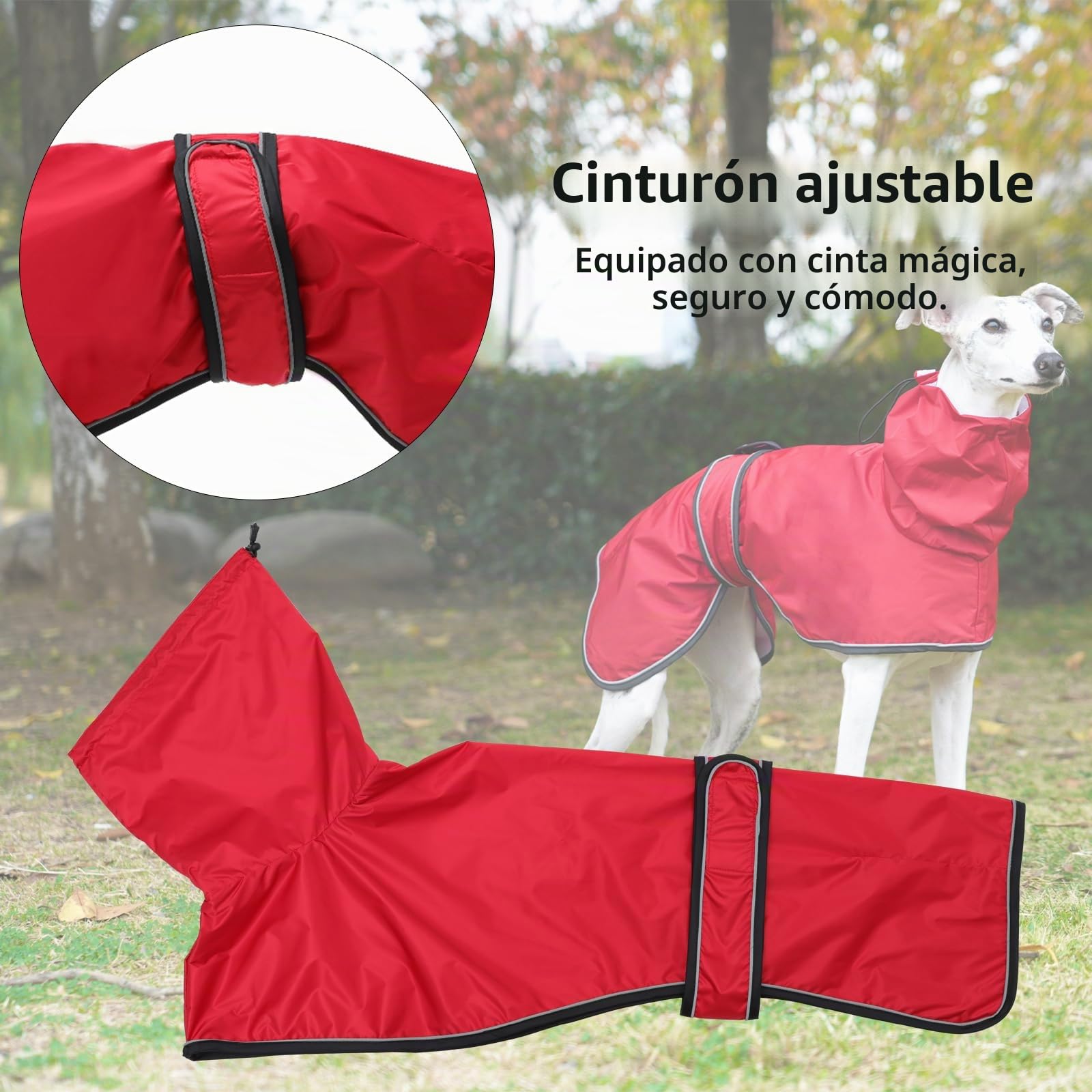 Chubasquero Ligero para Perros,con Correas Reflectantes y Agujero para el arnés, Pull-Over/Chaqueta Galgos, Lurcher y Whippet,para Perros Medianos y Grandes-Rojo-M