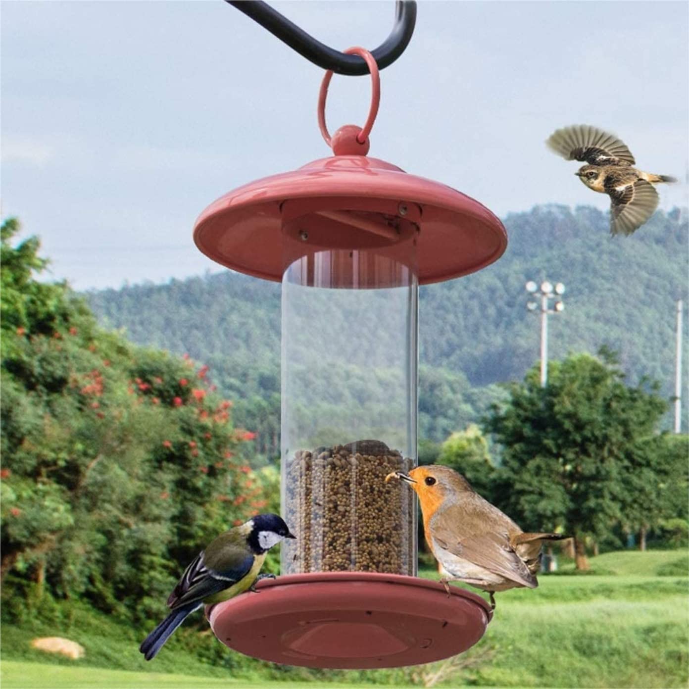 Comedero Pajaros Exterior Alimentador De Pájaros De Metal, Comedero Colgante De Semillas De Pájaros para Mascotas con Techo Y Bandeja para Exteriores Comederos para Pajaros