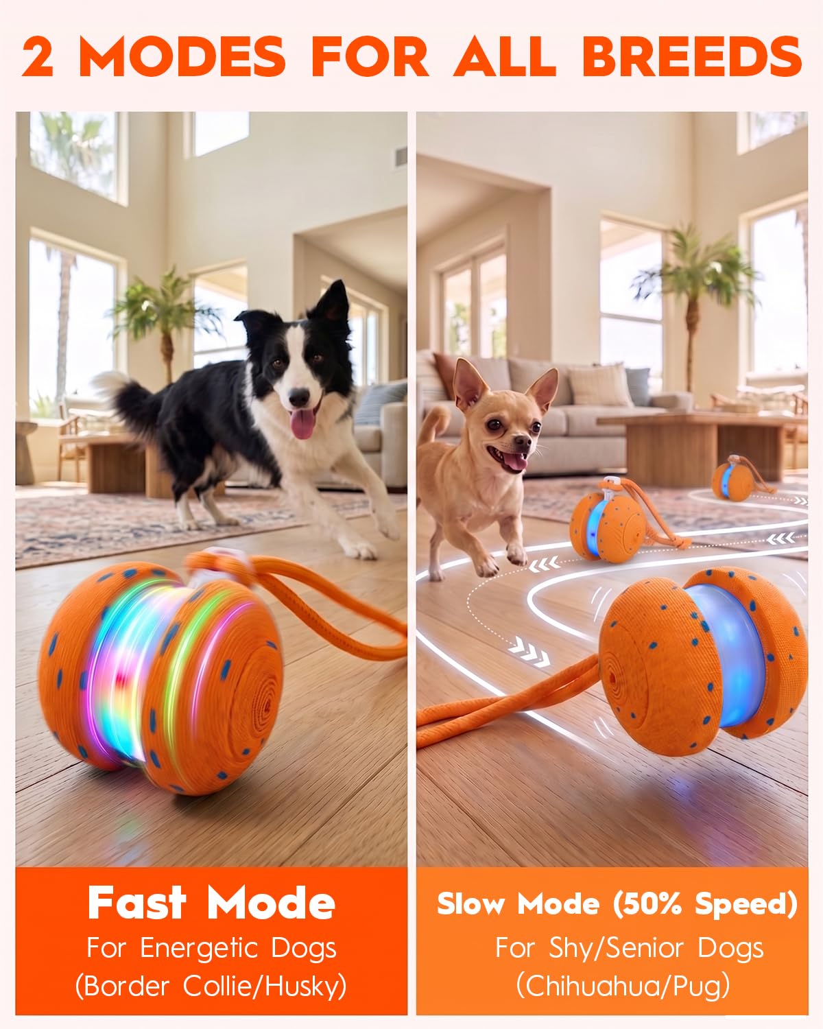 Xeuch Balles interactives à rouler pour chien - Orange