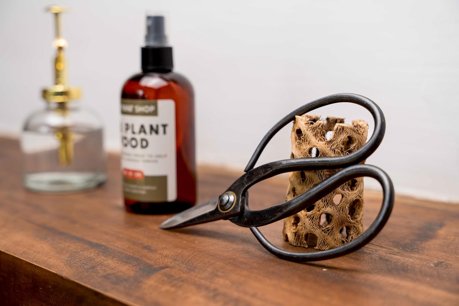 Air Plant Shop Bonsai-Style Pruning Scissors for Tillandsia Air Plants - Wholesale and Bulk - Succulents - Live Tillandsia - Easy Care Indoor and Outdoor House Plants